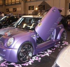 several cars are parked in a showroom with rose petals on the floor