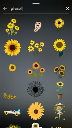 sunflowers and other flowers are shown on the screen