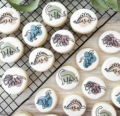 cookies decorated with dinosaur designs on a cooling rack