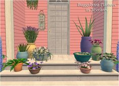 a bunch of potted plants sitting on top of a set of steps in front of a pink house