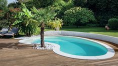 a pool with a palm tree in the middle