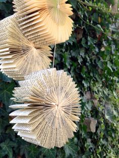 three paper fans hanging from a tree branch