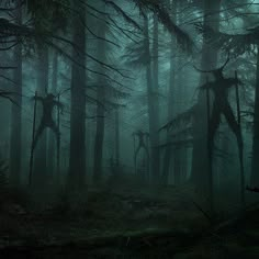 a dark forest filled with lots of trees and tall green leaves covered in foggy mist