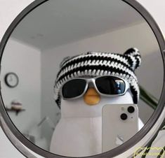 a mirror with a penguin wearing sunglasses and a knitted hat