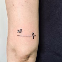 Tony Bird Tattoo, Bird Tattoo Simple Outline, Bird On Line Tattoo, Bird On A Line Tattoo, Birds On Powerline Tattoo, Micro Bird Tattoos For Women, Bird Circle Tattoo, Bird On Wire Tattoos, Single Bird Tattoo