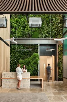 two people standing in front of a counter with plants growing on the wall behind them