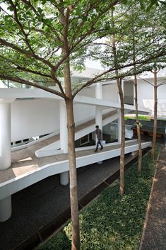 a man walking down a walkway between two trees in front of a building with white columns