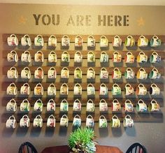 there is a coffee cup display on the wall in front of a potted plant