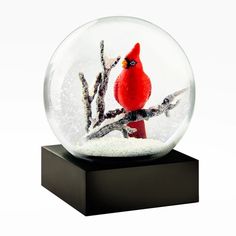 a snow globe with a cardinal on it