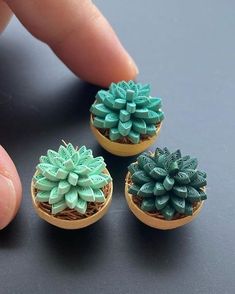 three miniature succulents are sitting on a table next to a person's finger