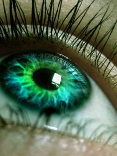 Macro photography - eye People With Green Eyes, Rare Eye Colors, Rare Eyes, Green Contacts, Photos Of Eyes, Human Eye, Contact Lenses Colored, Gorgeous Eyes, Dark Eyes