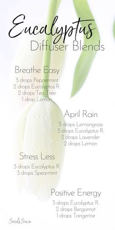 Essential Oil Combinations, Doterra Essential Oils Recipes, Essential Oil Diffuser Blends Recipes, Young Living Essential Oils Recipes, Essential Oils Guide, Oil Remedies, Essential Oils Herbs, Essential Oils Health, Oil Diffuser Recipes