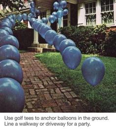 the pinter is showing an image of blue balloons in front of a house