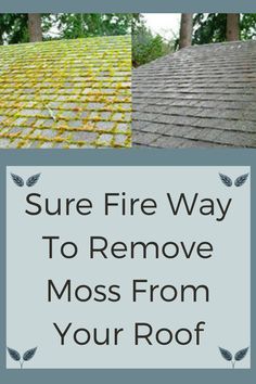 the roof is covered in moss and yellow leaves with text overlay that reads sure fire way to remove moss from your roof