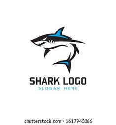 shark logo design with blue and black colors on the white background, suitable for use in business