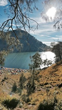 there are many tents set up on the hill next to the lake in the wilderness