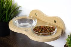 a dog bowl with food in it on a wooden tray next to a potted plant