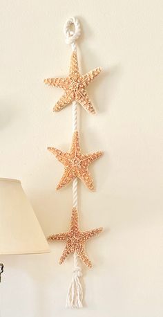 a starfish hanging on the wall next to a lamp