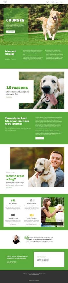 an image of a website design for a dog grooming business, with green and white colors