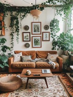 a living room filled with lots of plants and pictures hanging on the wall above it