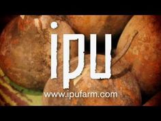 some kind of fruit with the word ipu on it