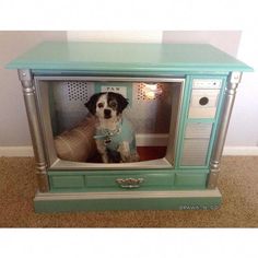 a dog is sitting in an old tv set