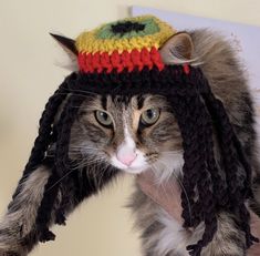 a cat wearing a knitted hat with dreads