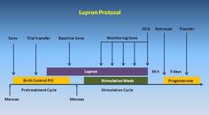 a diagram showing the stages of lipton protol and how it is used to treat