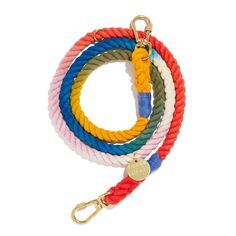 multicolored rope dog leash with gold hook