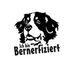 a black and white dog with the words bernfizer on it