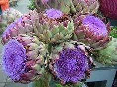 an arrangement of purple flowers in a vase