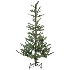 a small pine tree on a stand with no leaves in front of a white background