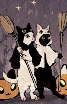 two cats dressed up as witches with brooms and pumpkins in front of them