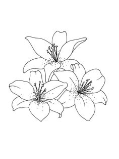 three flowers are shown in this black and white drawing, with one flower on the left side