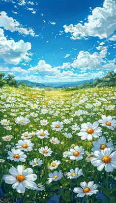 a field full of white flowers under a blue sky with fluffy clouds above the grass