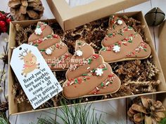 decorated christmas cookies in a box on a table