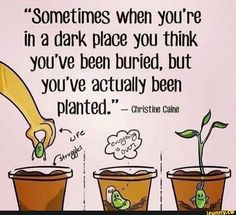 three potted plants with the words sometimes when you're in a dark place you think you've been buried, but you've actually been planted