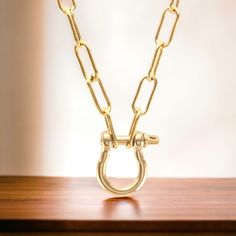 Elevate your style with our Thunderbolt Necklace. This exquisite piece features a luxurious gold or silver paperclip link chain, perfectly paired with a captivating Equestrian Horse Bit pendant. Channel elegance and sophistication with this intricate and timeless accessory. Available in Gold (18kt Gold Plated over Stainless Steel) and Silver (Stainless Steel) 18K PVD Gold/Silver Stainless Steel Chain 18" or 20" in Length Chain Links 7mm x 13mm Horse Bit measures 21 mm wide Water and Tarnish Resistant: Crafted to withstand everyday wear and tear Hypoallergenic: Made with high-quality materials and is safe for those with sensitive skin Necklace Connectors, Silver Braided Ring, Locking Collar, Braided Ring, Horse Bits, Chain Links, Timeless Accessories, Cool Necklaces, Special Birthday