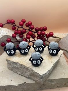 five black and white sheep on a rock with berries