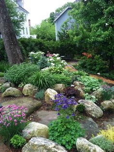 a garden with rocks and flowers in the foreground