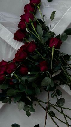 a bunch of red roses laying on top of each other next to some white paper