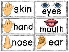 four different types of words with eyes, hands and nose