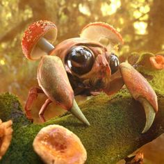 a close up of a crab on a tree branch with mushrooms in the foreground