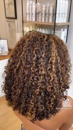 Pin on hairstyles Dyed Curly Hair No Bleach, Highlights On Mixed Curly Hair, 4c Honey Blonde Highlights, Curl Hair With Highlights, Color Curly Hair Black Women, Blond Balayage With Dark Roots, As I Am Color Curl, Hair Highlight Patterns, Colored Hair For Curly Hair