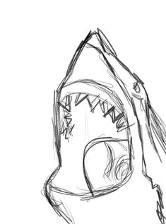 a drawing of a shark's mouth with sharp teeth and an open mouth is shown