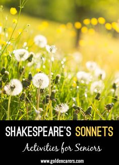 the words shakespeare's sonnets activities for seniors are in front of some dandelions