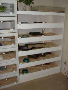 the shelves are filled with many different types of pet supplies and bowls, including catsnips