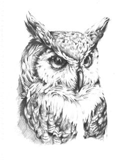 an owl with big eyes is shown in black and white, as if it were drawn by hand