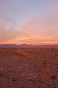 the sun is setting in the desert with mountains in the distance and grass on the ground