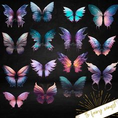 the butterflies are all different colors and sizes